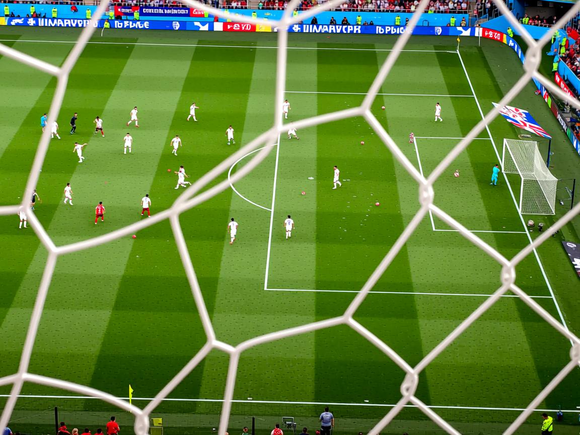 开云在线入口-张雨霏强势登顶女子蝶泳桂冠，张雨霏获蝶泳银牌  第2张