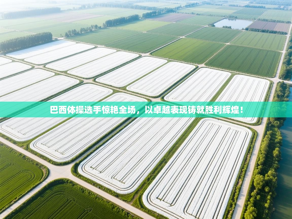 巴西体操选手惊艳全场，以卓越表现铸就胜利辉煌！